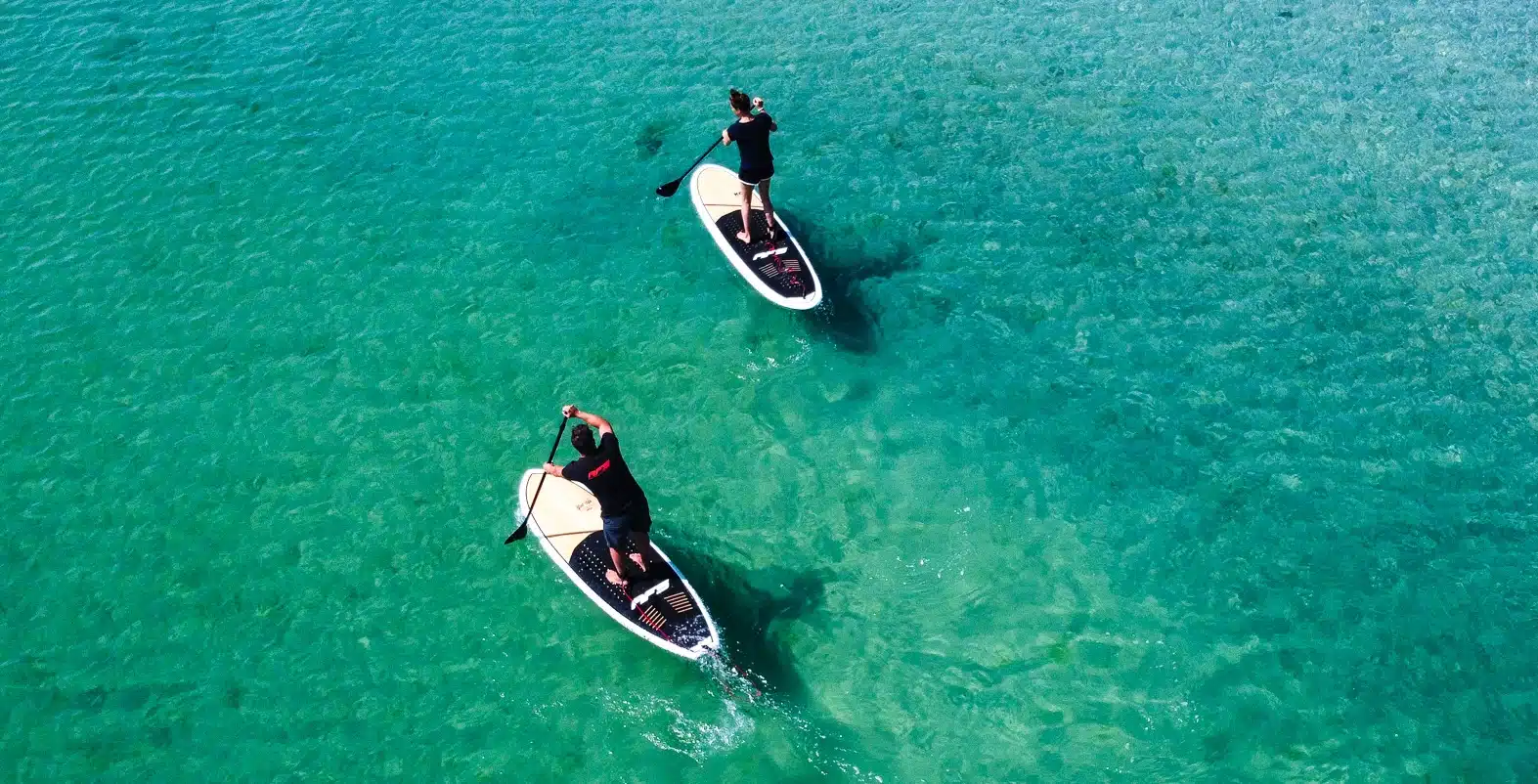 sup